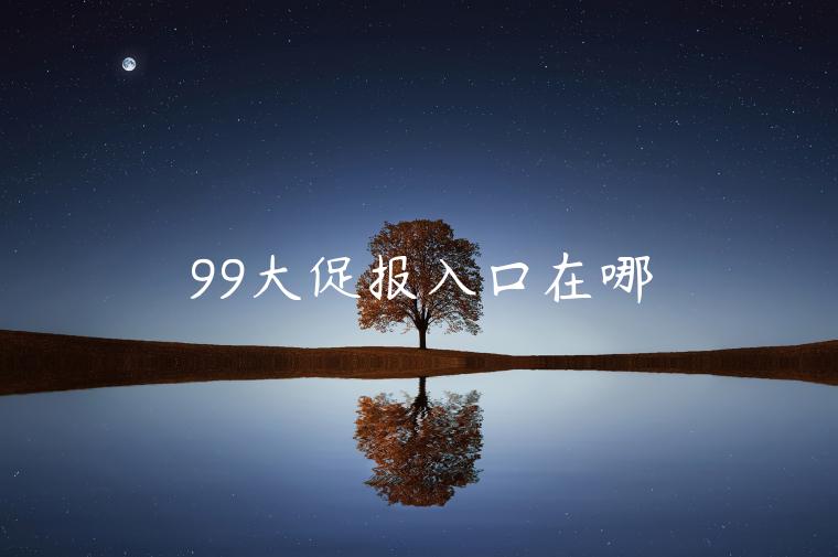 99大促報(bào)入口在哪